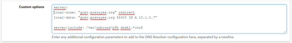 Options spécifiques du DNS chez les arsouyes