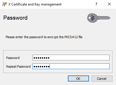 Password to protect the p12 file