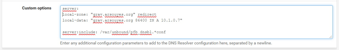 DNS specific options for the arsouyes