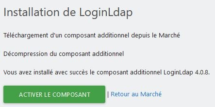 Activate the plugin (in french)