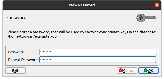 Password for the new database.