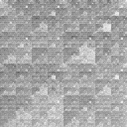 Représentation par Jeu du Chaos, Drosophila melanogaster, chromosome X